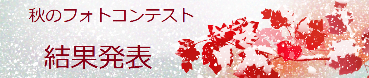 秋タイトル  JR石北本線応援団